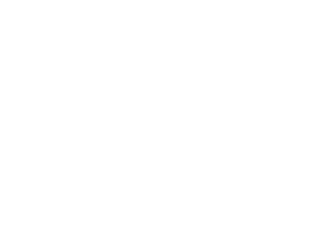 ArkSim